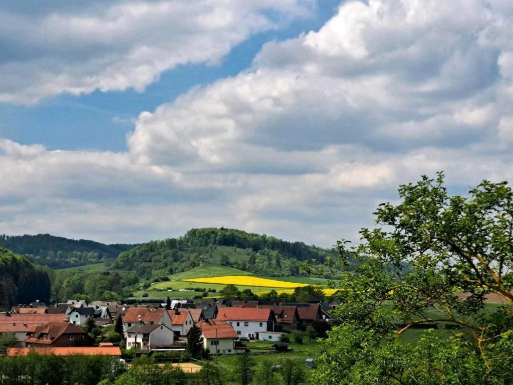 Sauerland-Tinyworld - Ihr Tiny Ferienhaus Im Sauerland Am Diemelsee Exterior photo